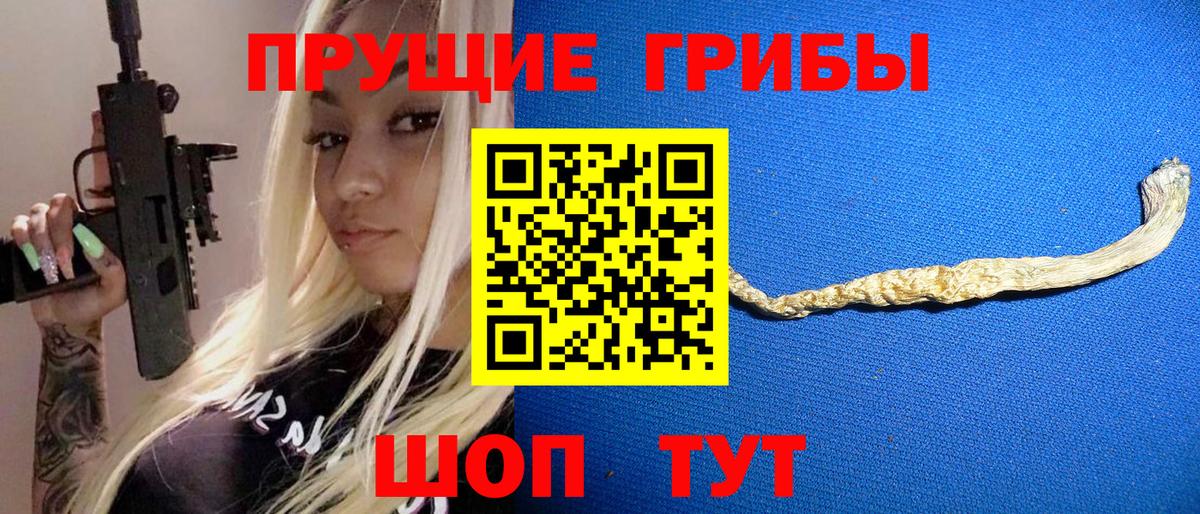 Псилоцибиновые грибы Cubensis Хабаровск