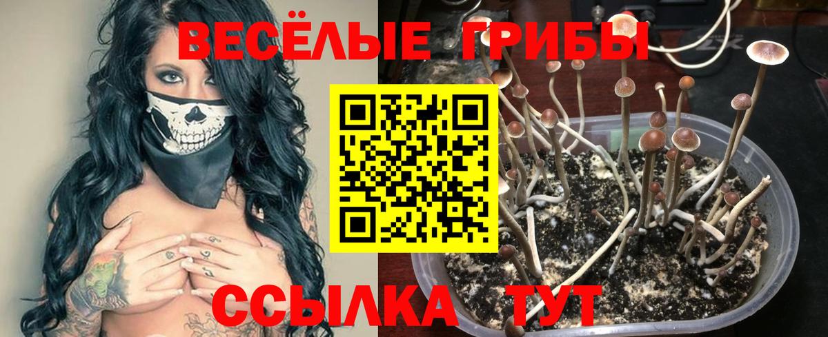 Галлюциногенные грибы GOLDEN TEACHER  Вход с VPN  Хабаровск 
